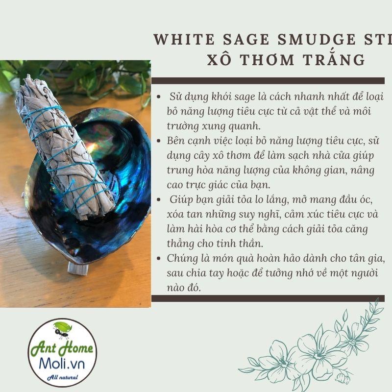 Combo 2 bó xô thơm trắng 40gr/bó